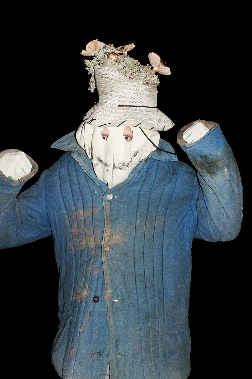 Урок «Гербарий» Пакет