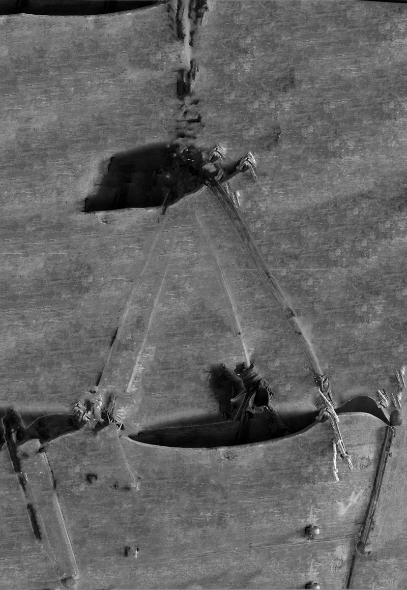 Урок «Гербарий» Пакет