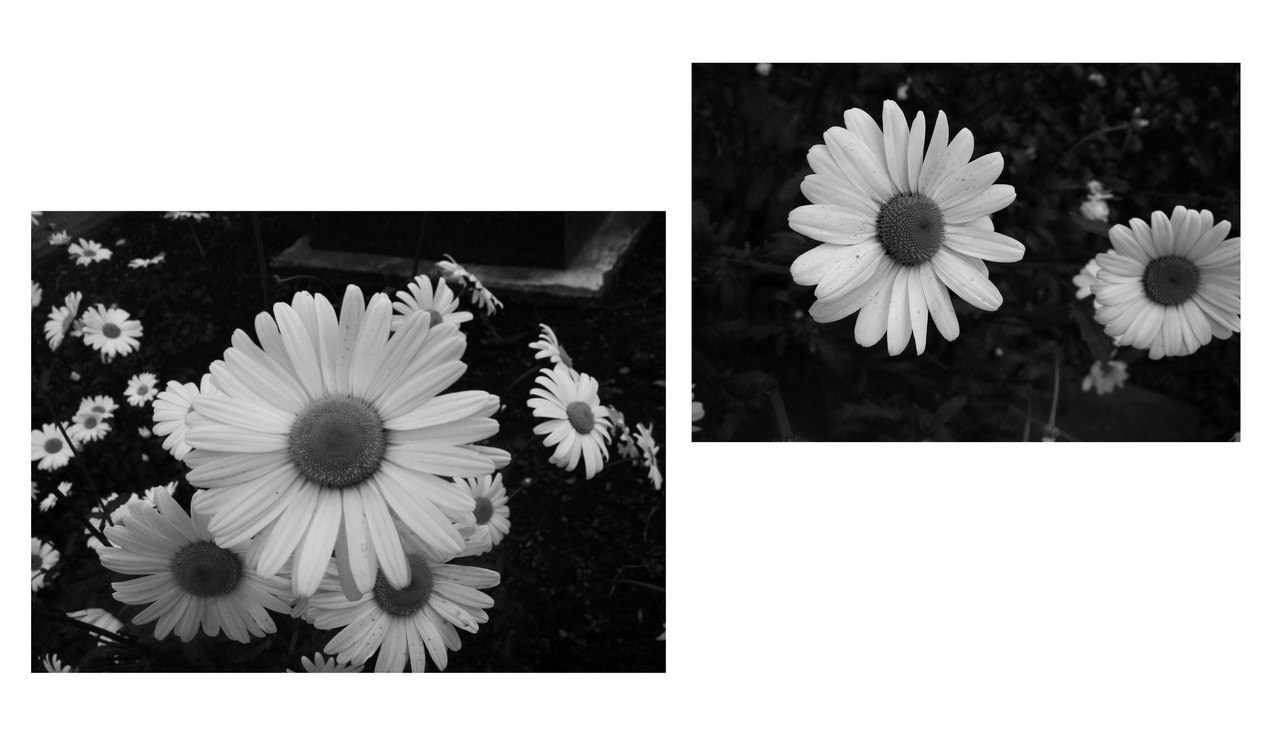 Мои первые работы. Фотограф из Москвы — DASHA NOVA | Авторская фотография в разных жанрах