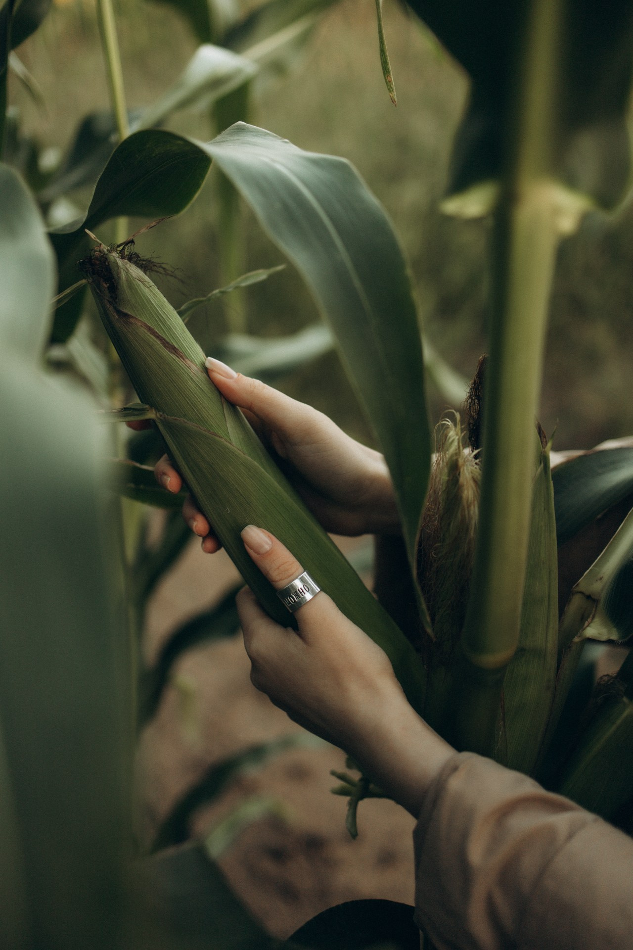 Кристина. Семейный фотограф в Ижевске Даша Денисова