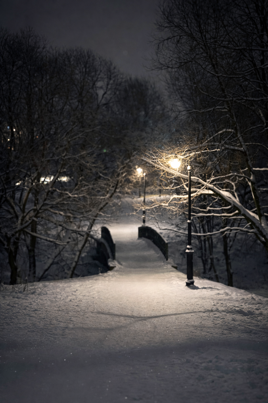 Зимняя сказка. Фотокружок «Видоискатель» ГБОУ СОШ № 291