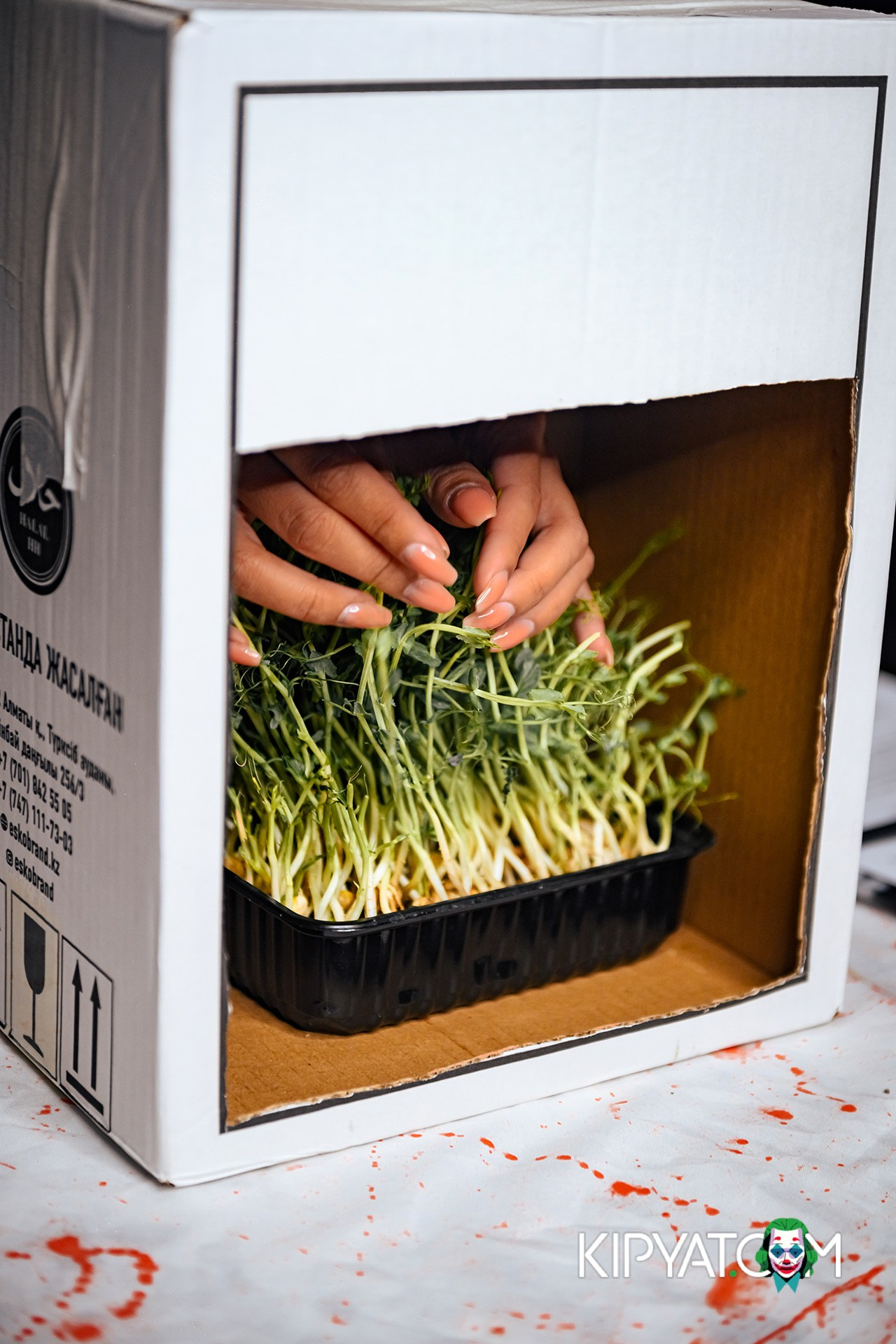 LOKO BAR. КИПЯТКОМ АЛМАТЫ!