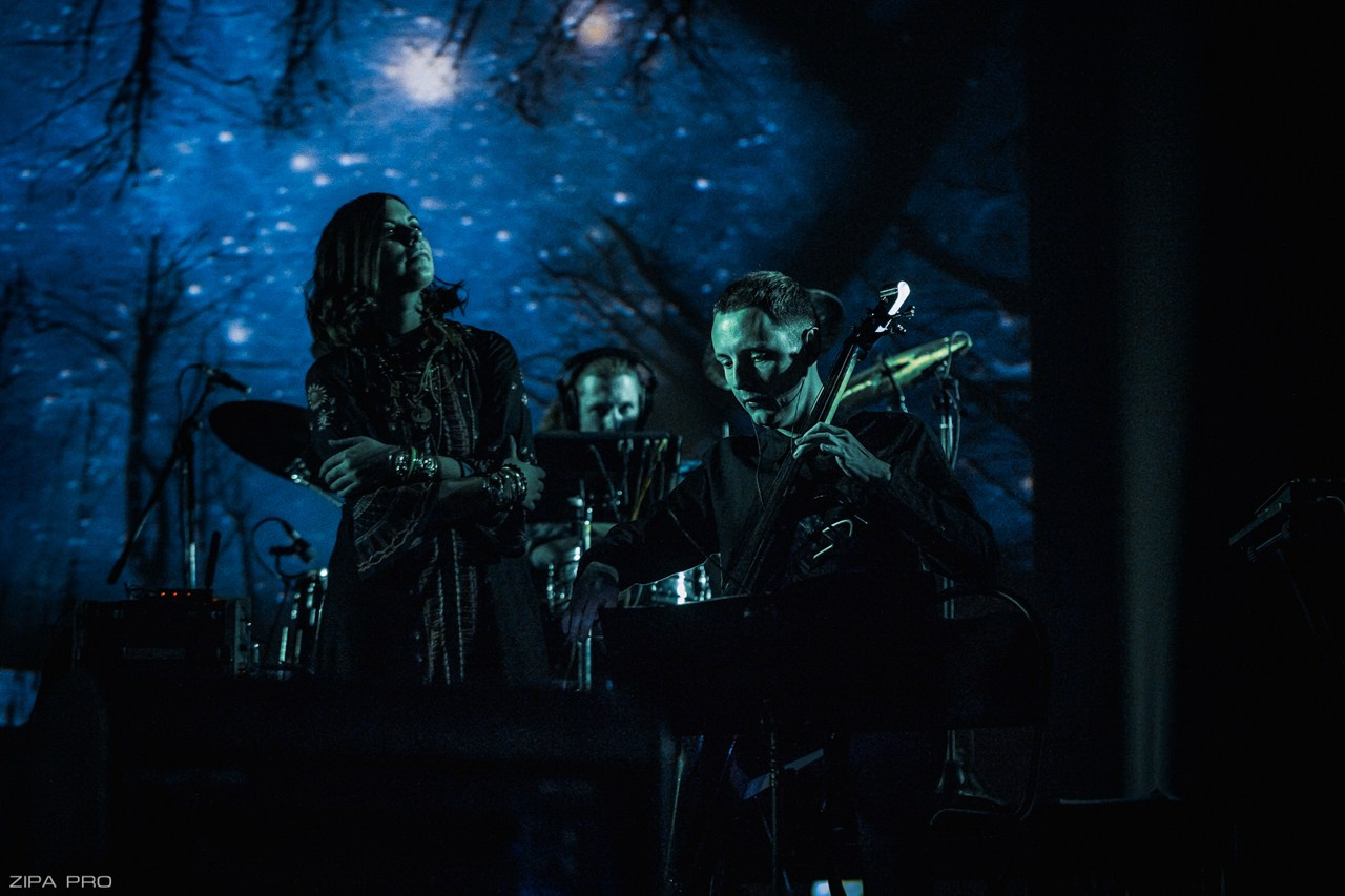 Концерт гр. «Theodor Bastard». Фотограф Zipa Pro