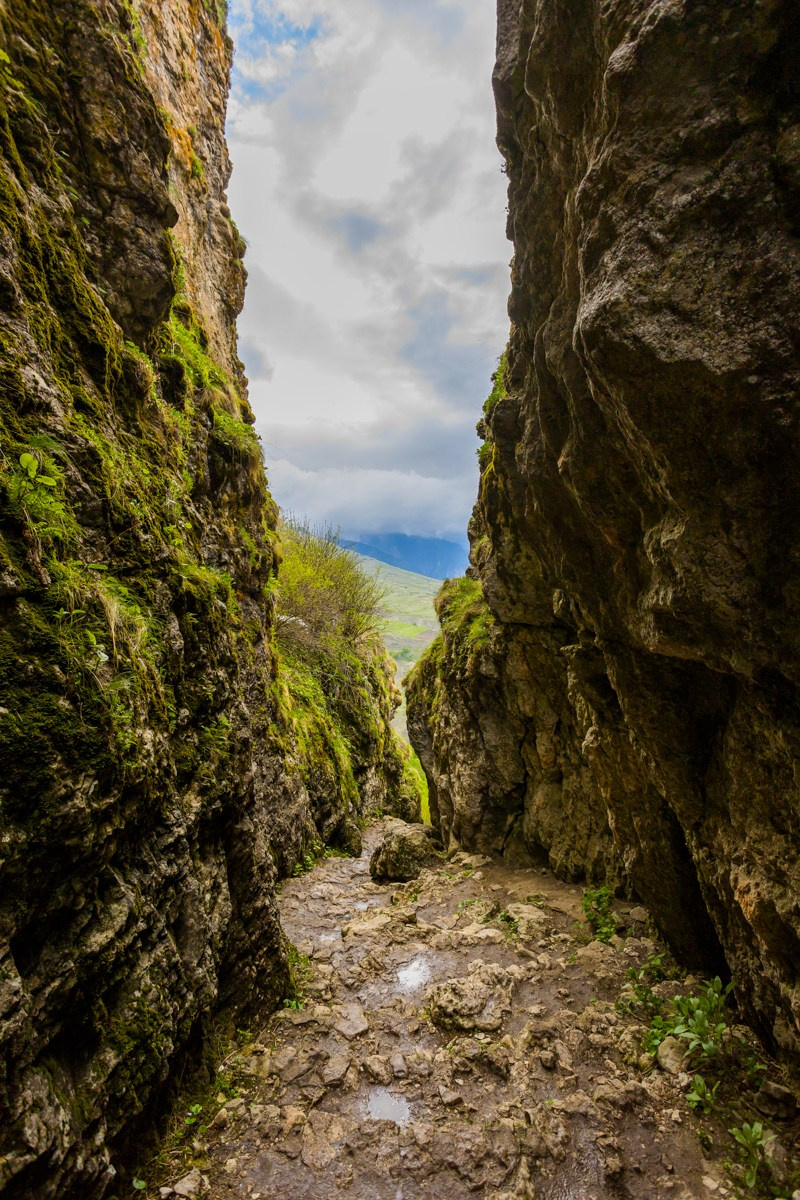 Каменная чаша. Photomantis