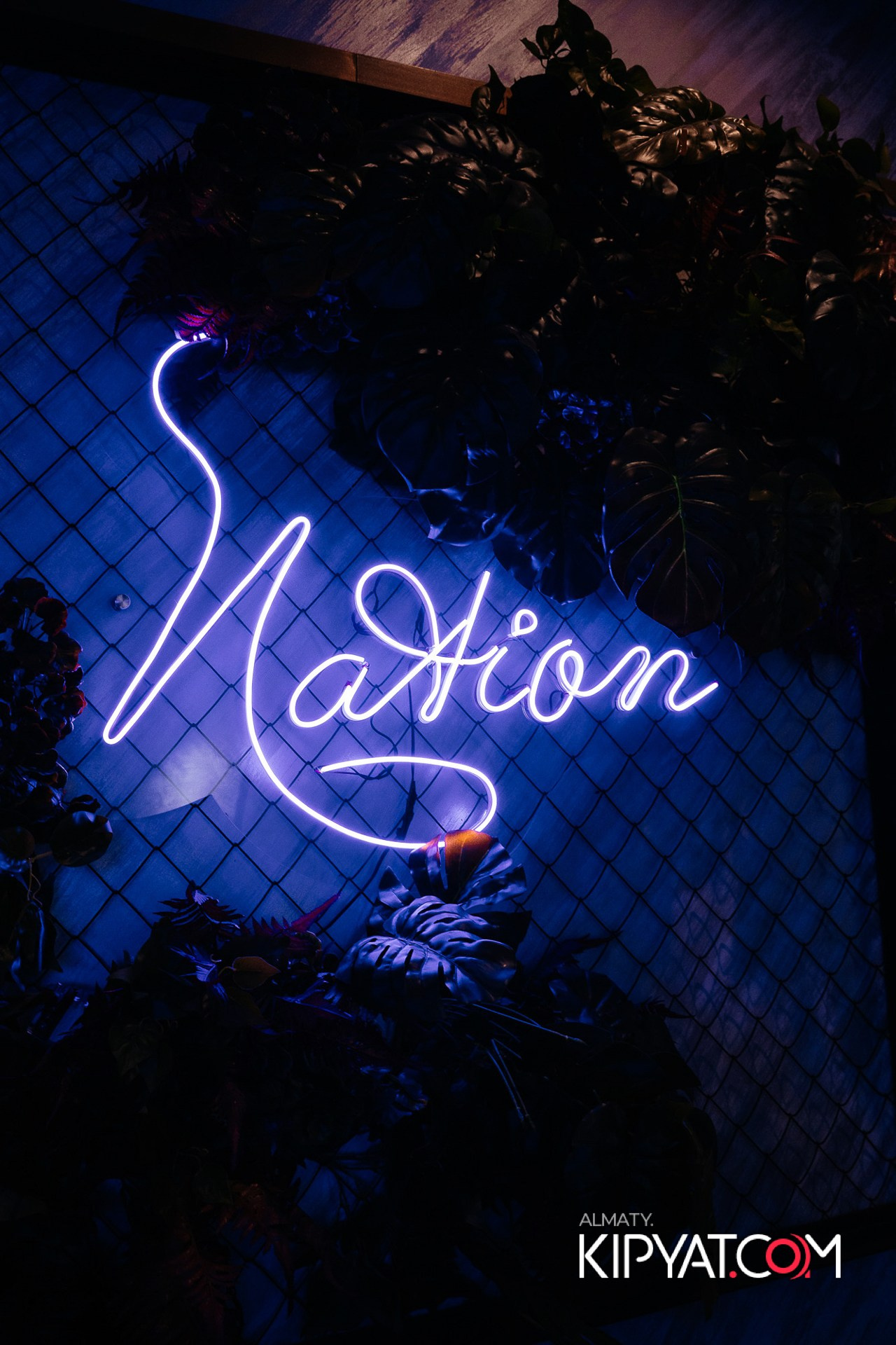 Дорогая. Я Не Пил. КИПЯТКОМ АЛМАТЫ!