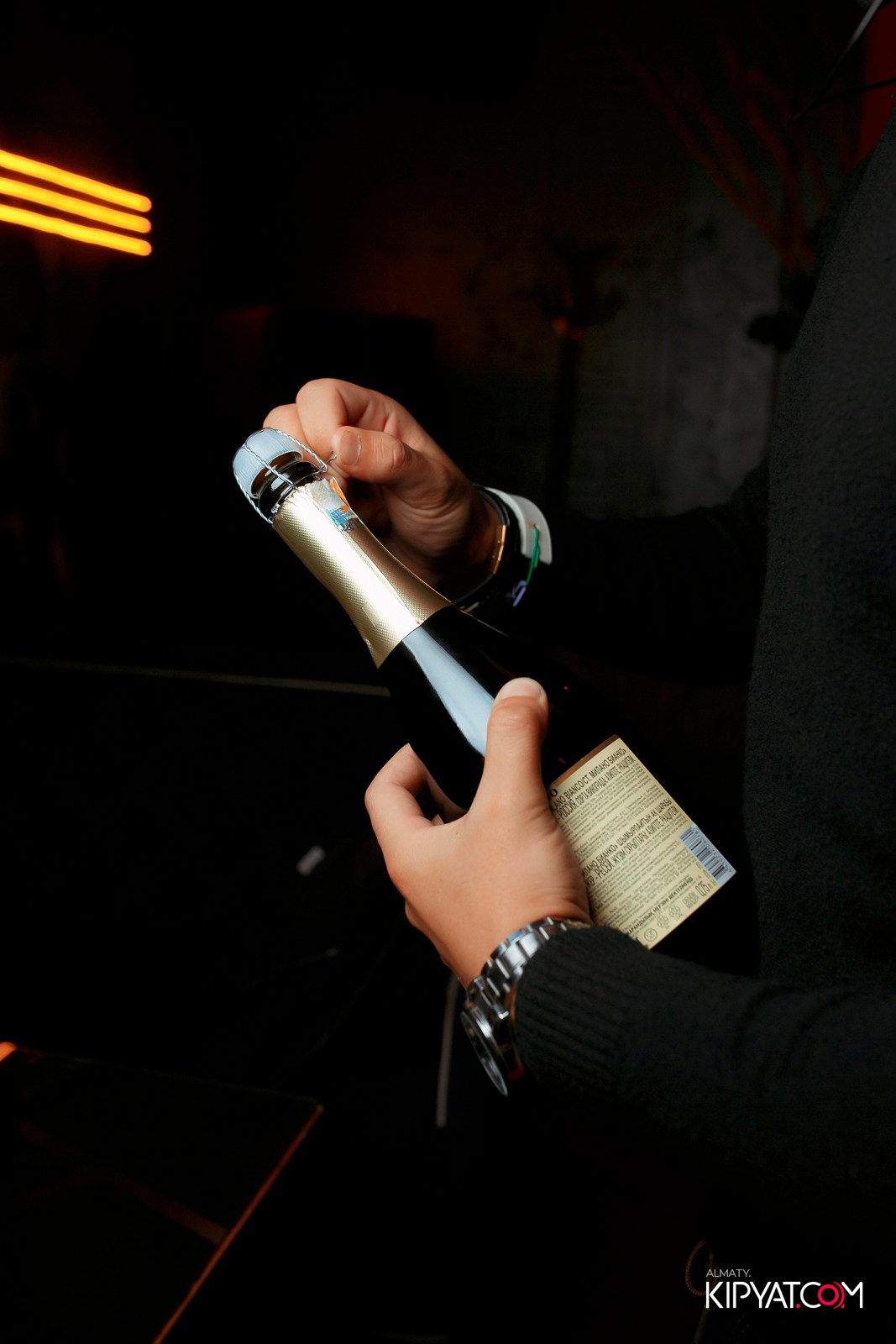 УХО И МЕДВЕДЬ НА ГАГАРИНА. КИПЯТКОМ АЛМАТЫ!