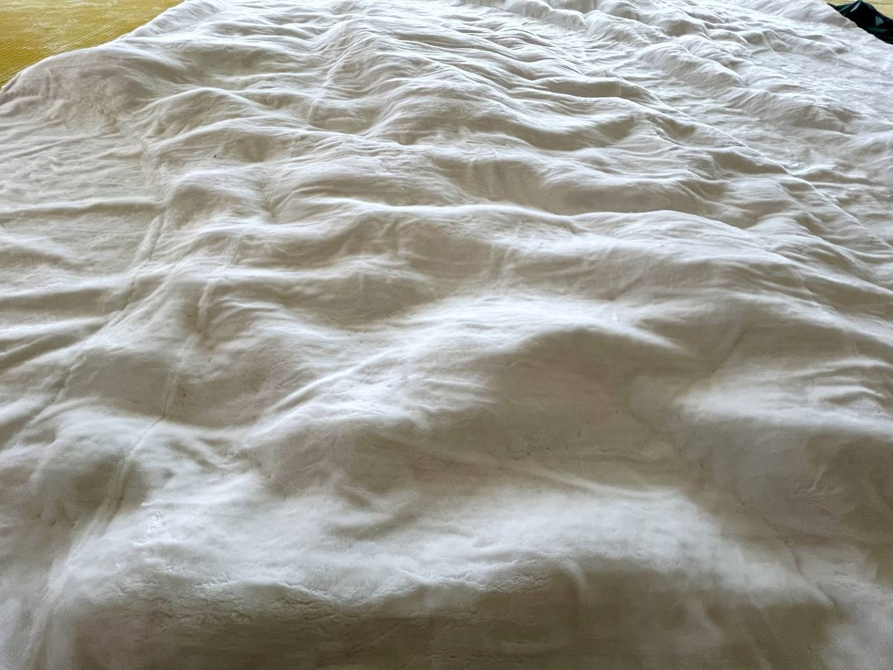 Декорации для спектакля «Евгений Онегин» | Театр БТК. История занавеса. Превращаем идею в технологию