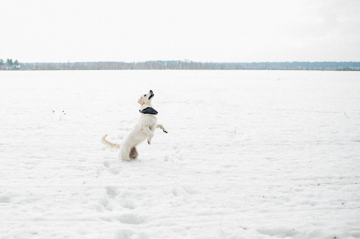 ШАНТИ и СЕМЬЯ. Свадебный и семейный фотограф РИТА БОЧКАРЁВА