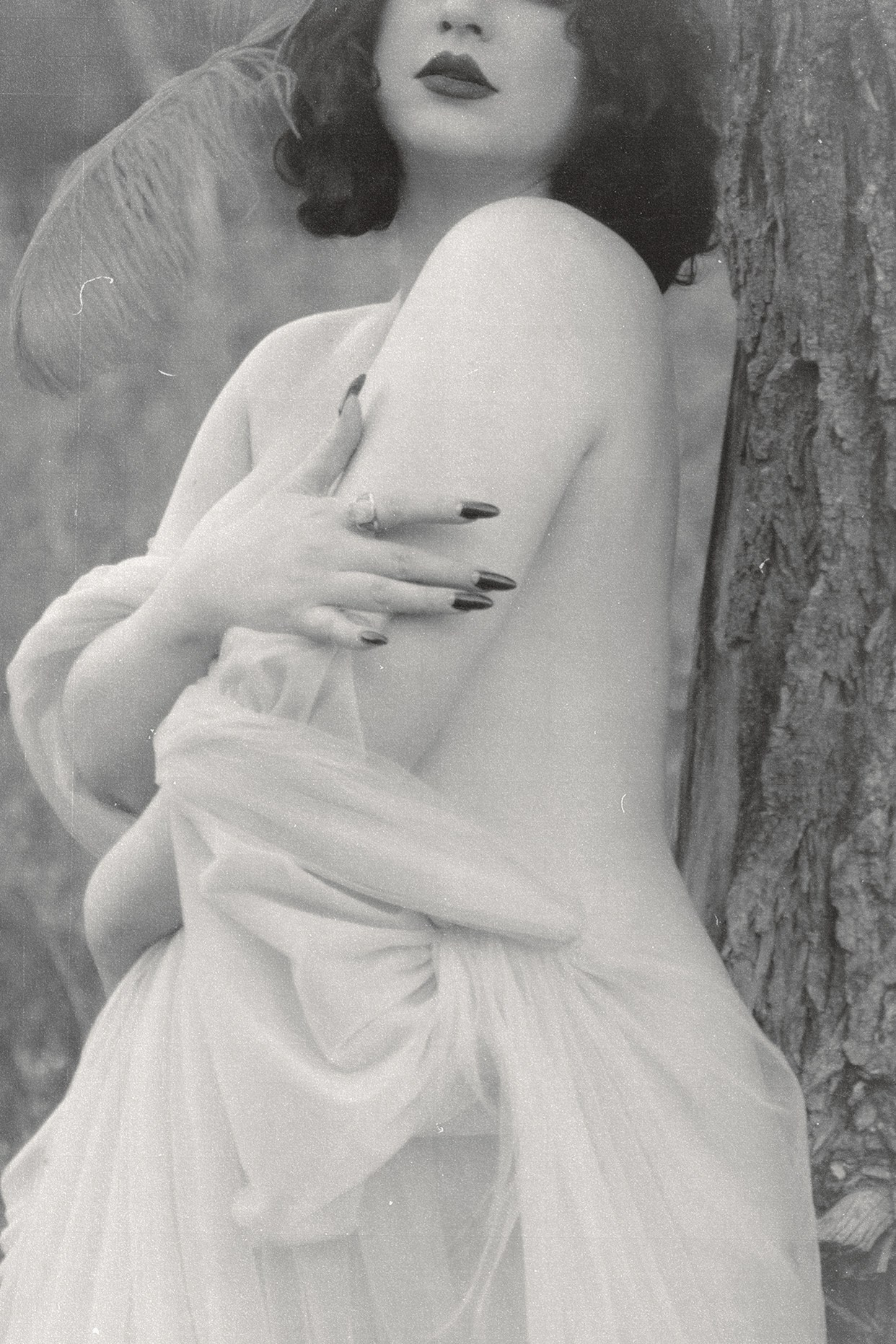 Бурлеск. Концертный и бурлеск фотограф Москва