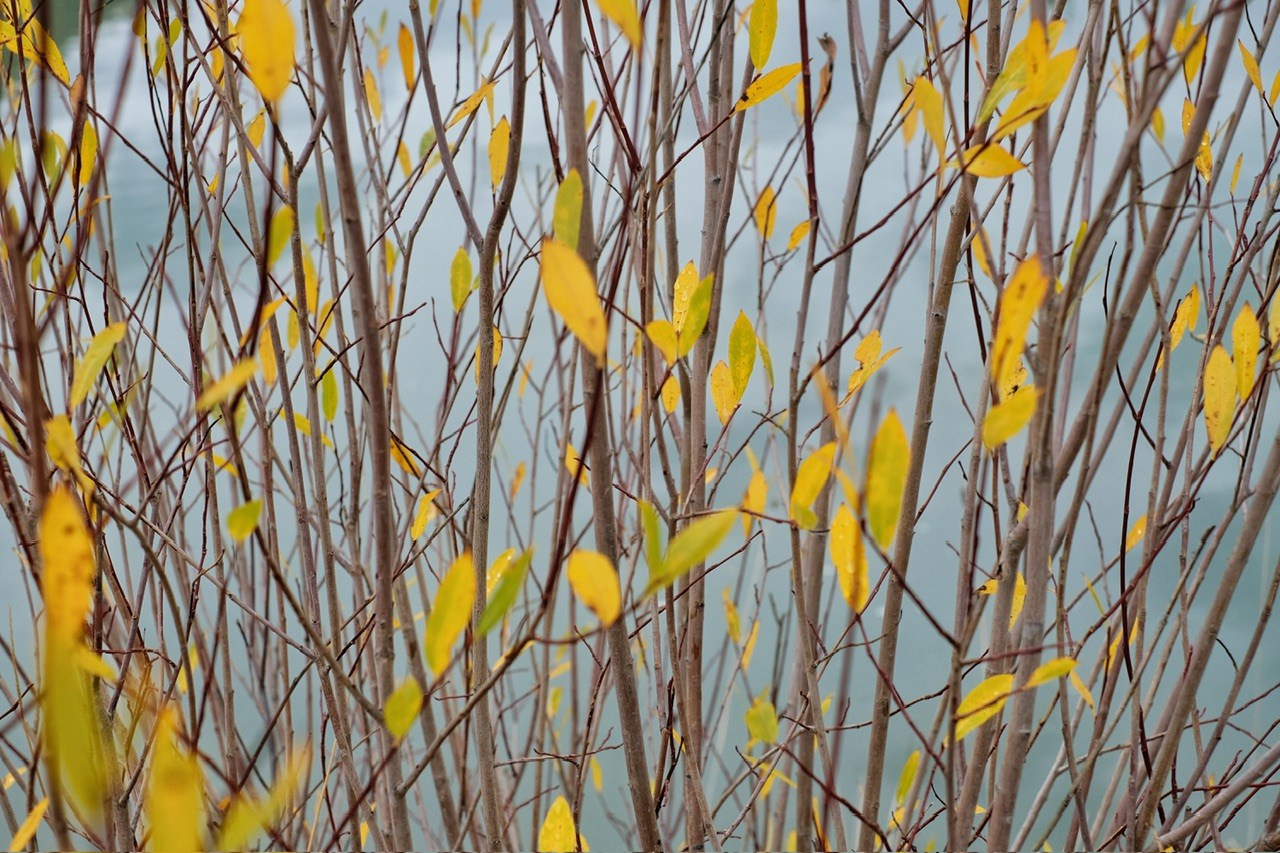 Алтай. Фотограф Евгений Андреев