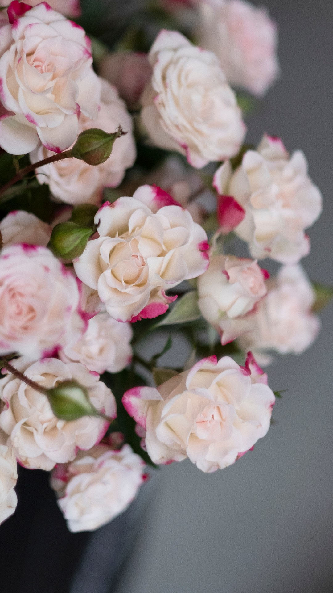 Цветочная студия Flower Garden. Профессиональный фотограф Ольга Терехова СПБ Батуми