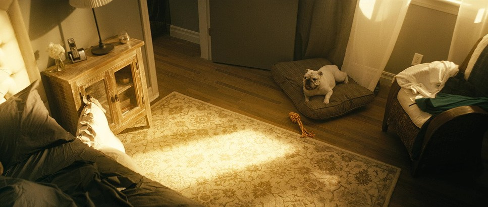 Color Theory. TENZO | Creative Producer / Art Director