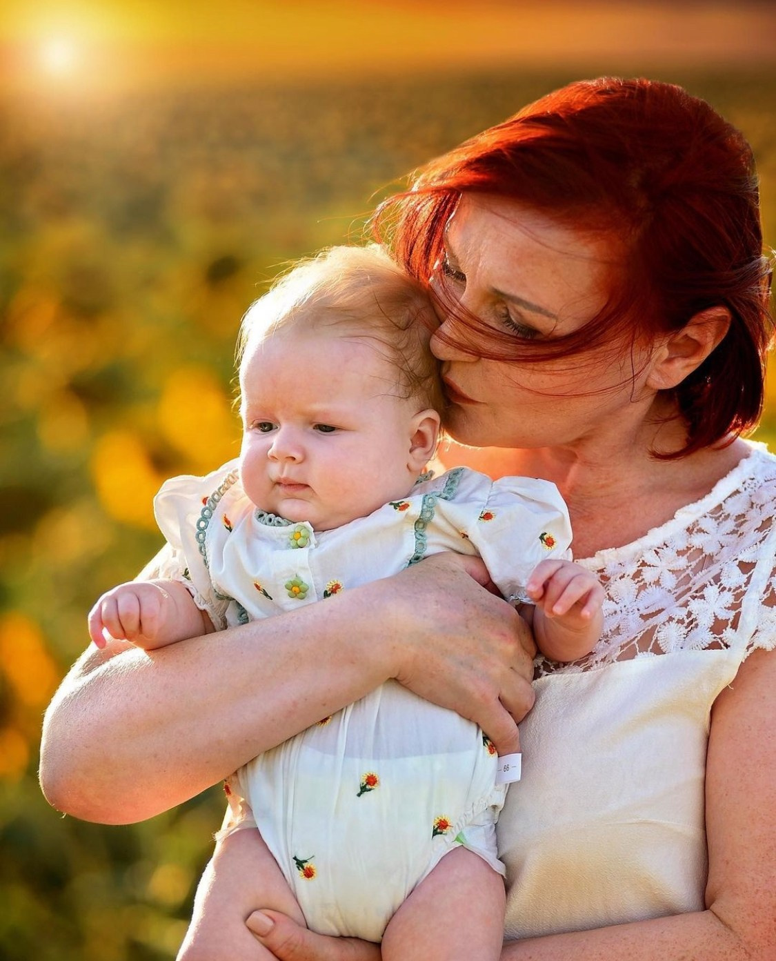 Подсолнухи. Главная