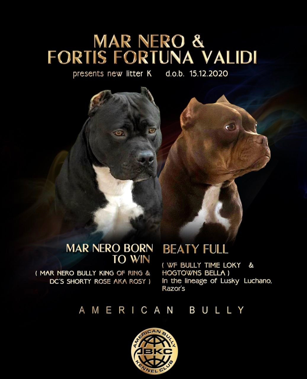 ПИТОМНИК СОБАК ПОРОДЫ АМЕРИКАНСКИЙ БУЛЛИ