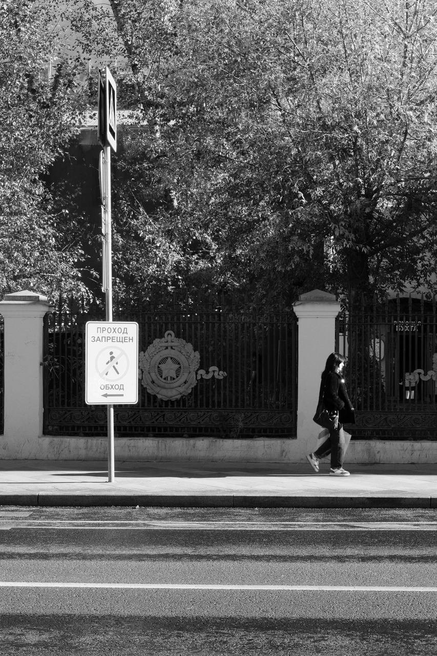 Автор: Дарья Пронина