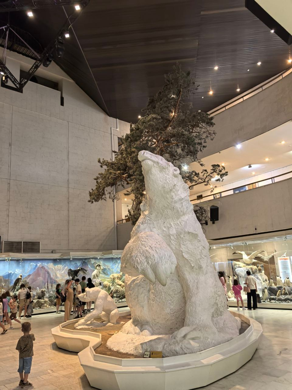 Дарвиновский музей г. Москва экологические приключения. АНО «Центра социальных проектов «Путь в большой мир»