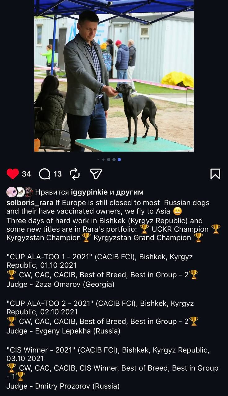 Черный бриллиант. Профессиональный питомник левреток РКФ/FCI ASTI SAPPHIRE 💎 Сочи|Санкт-Петербург