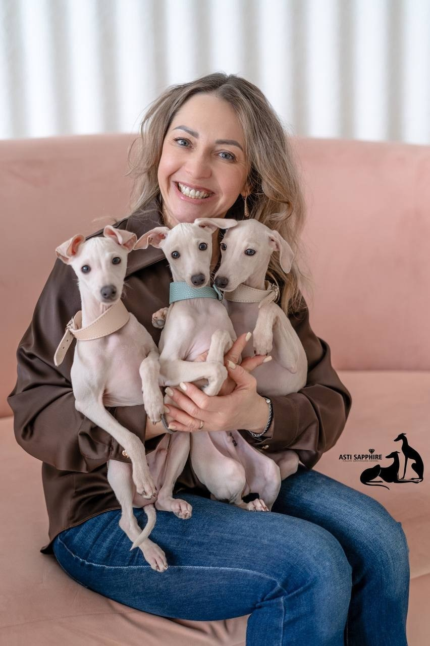 Casper boss & Clyde & Klaus. Профессиональный питомник левреток РКФ/FCI ASTI SAPPHIRE 💎 Сочи|Санкт-Петербург