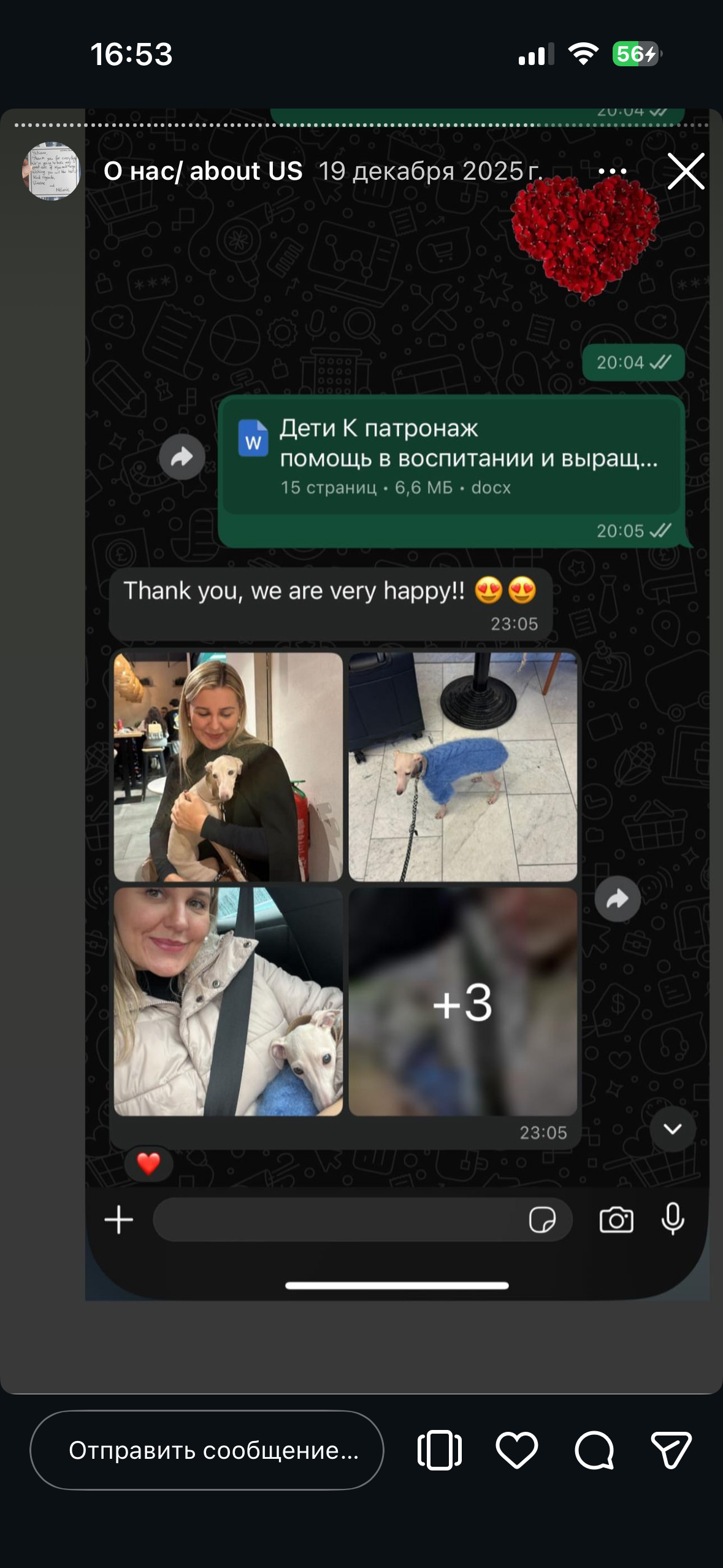 Отзывы от наших любимых владельцев. Профессиональный питомник левреток РКФ/FCI ASTI SAPPHIRE 💎 Сочи|Санкт-Петербург