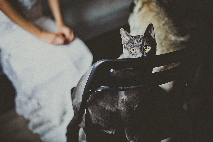 Клим и Надежда, дочь Мия, г. Cанкт-Петербург. Фотограф Полина Егорова город Тюмень