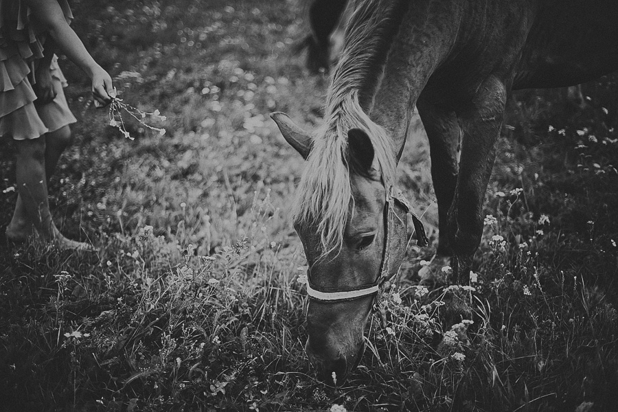 Мария и лошади. Фотограф Полина Егорова город Тюмень