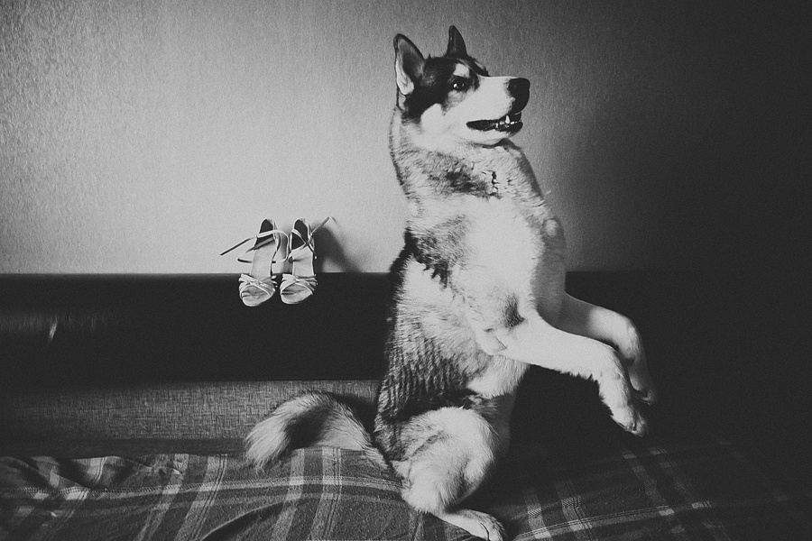 Клим и Надежда, дочь Мия, г. Cанкт-Петербург. Фотограф Полина Егорова город Тюмень