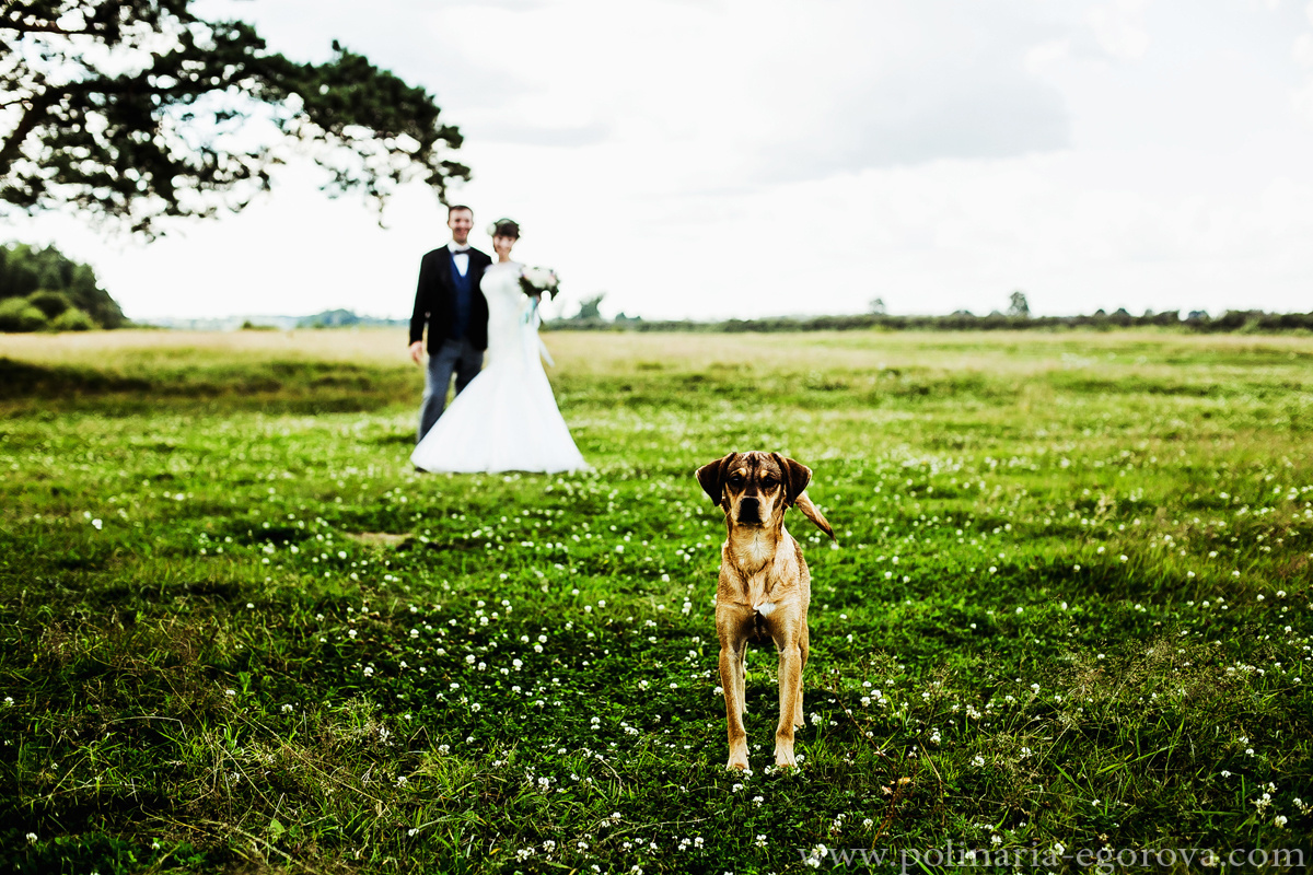Михаил и Эля. Фотограф Полина Егорова город Тюмень
