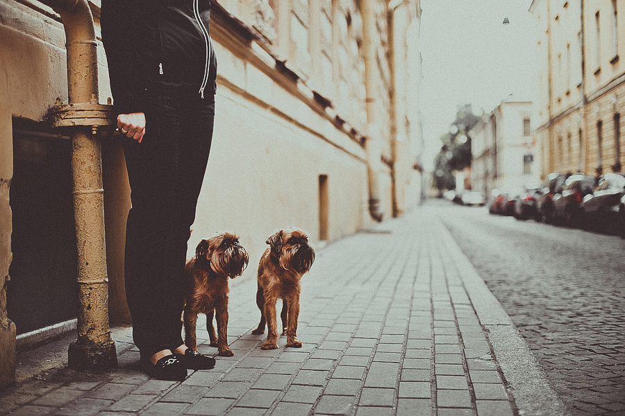 Клим и Надежда, дочь Мия, г. Cанкт-Петербург. Фотограф Полина Егорова город Тюмень