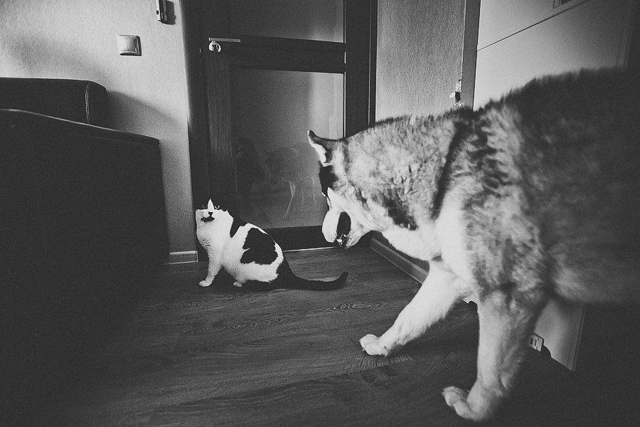 Клим и Надежда, дочь Мия, г. Cанкт-Петербург. Фотограф Полина Егорова город Тюмень