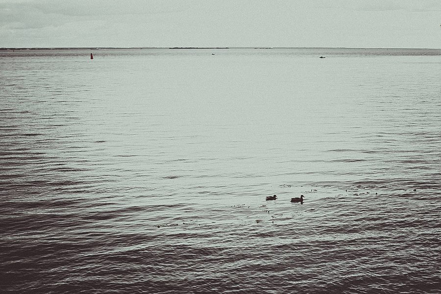 Клим и Надежда, дочь Мия, г. Cанкт-Петербург. Фотограф Полина Егорова город Тюмень