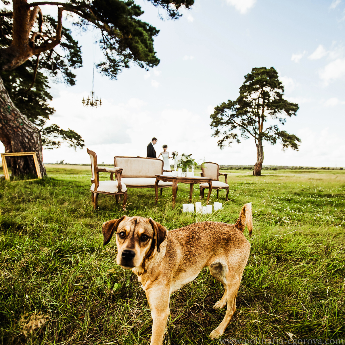Михаил и Эля. Фотограф Полина Егорова город Тюмень