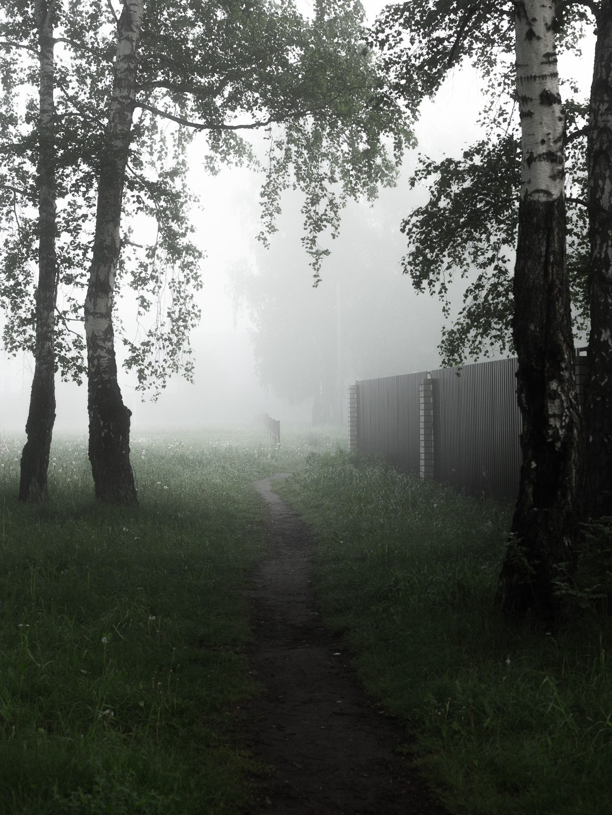 Просто красиво. Детский и семейный фотограф Барнаул Татьяна Губанова