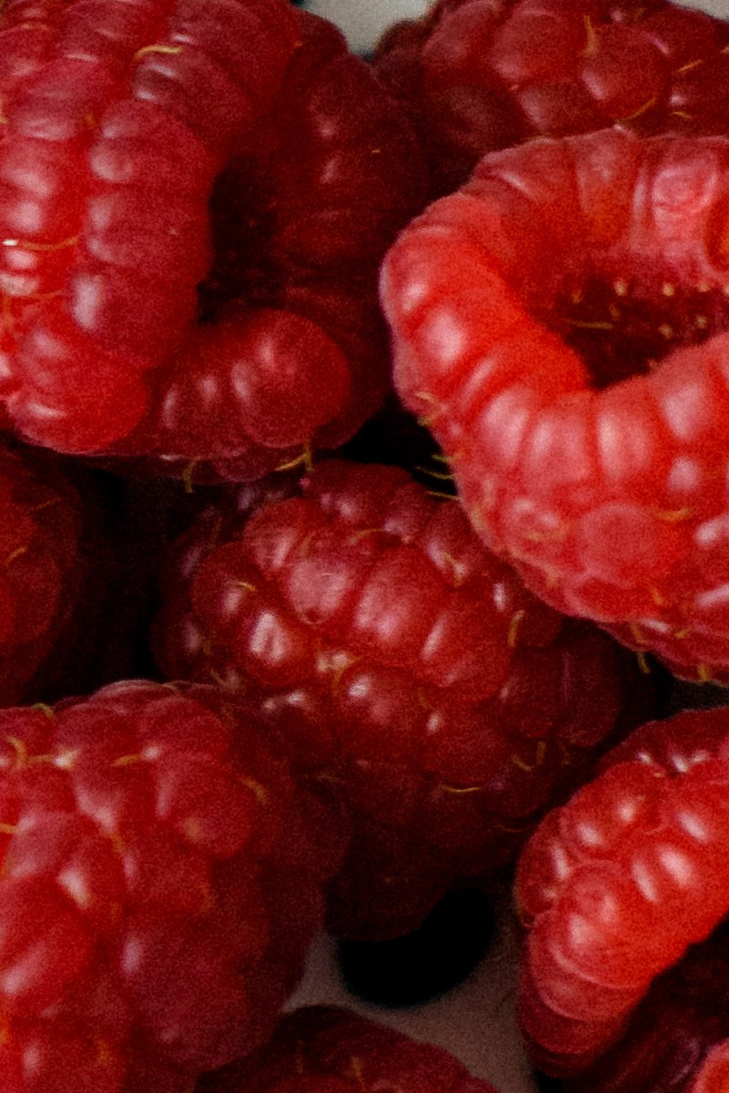 Нутрициолог. Свадебный фотограф в Санкт-Петербурге София Шубик