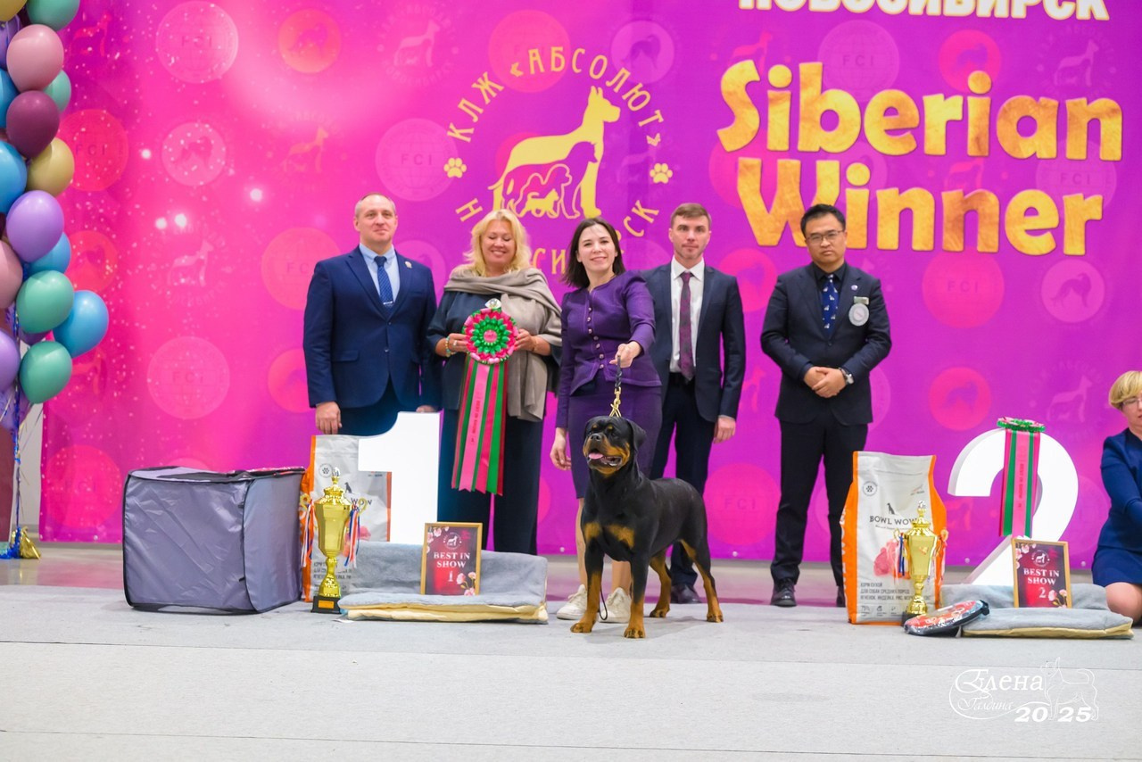 Отзывы. Фотограф анималист Елена Галдина г. Красноярск