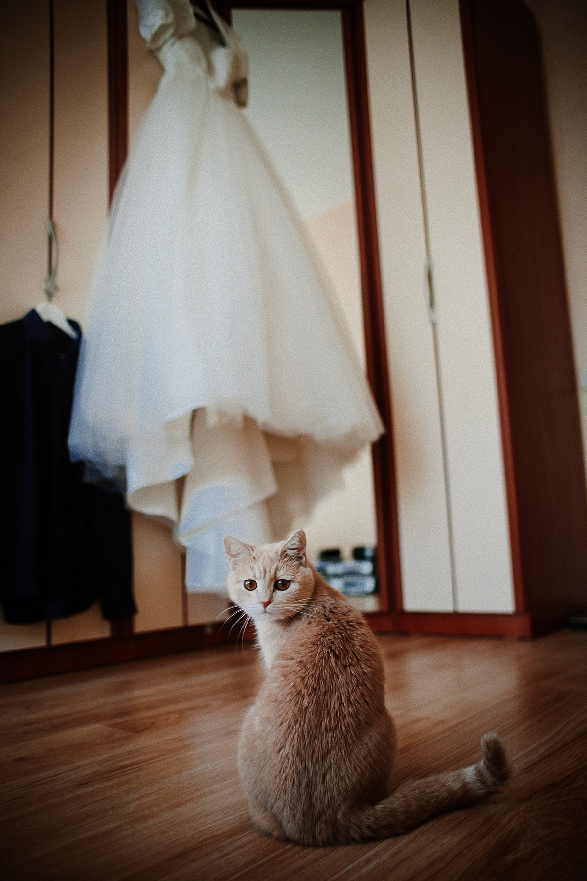 Свадебная прогулка Алекса и Даши. Фотограф крещение венчание в Петербурге! Помогает подобрать храм и посоветовал душевного батюшку в СПб