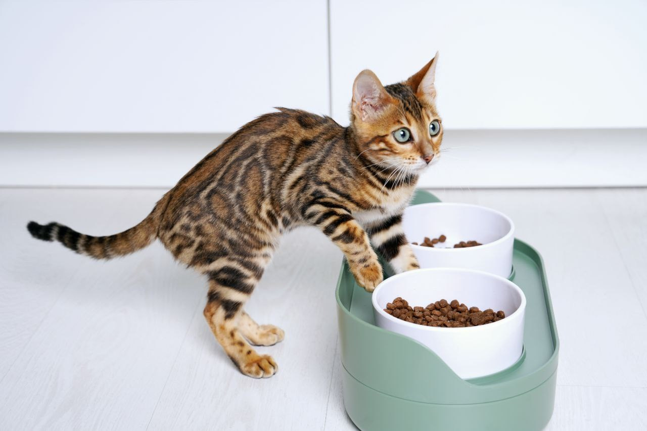 MARKETPLACE | Для маркетплейсов. ВИЗУАЛИЗАТОР БРЕНДА: ФОТОГРАФ | ИМИДЖМЕЙКЕР| СТИЛИСТ МОСКВА