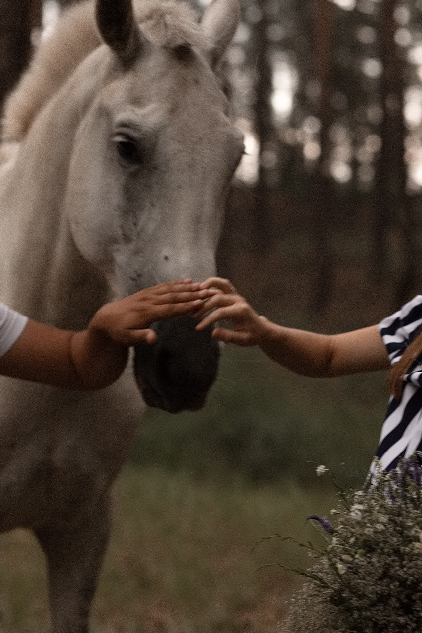 Family. Звягинцева Анастасия. Художественный женский фотограф, Самара Москва