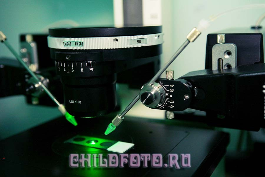 Институт Белка г. Пущино. Skazka.wfolio.pro