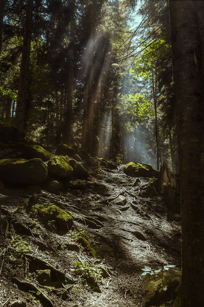 Пейзажный фотограф СПб, Санкт-Петербург и Москва