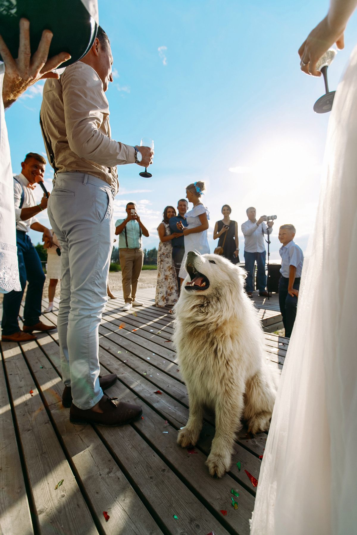 Александр и Дарья