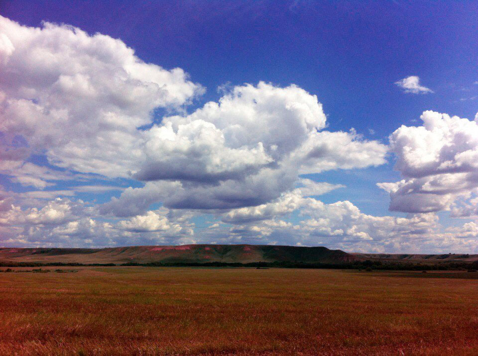 Природа. Студийный, портретный, семейный фотограф Южно-Сахалинска Яна Радаева