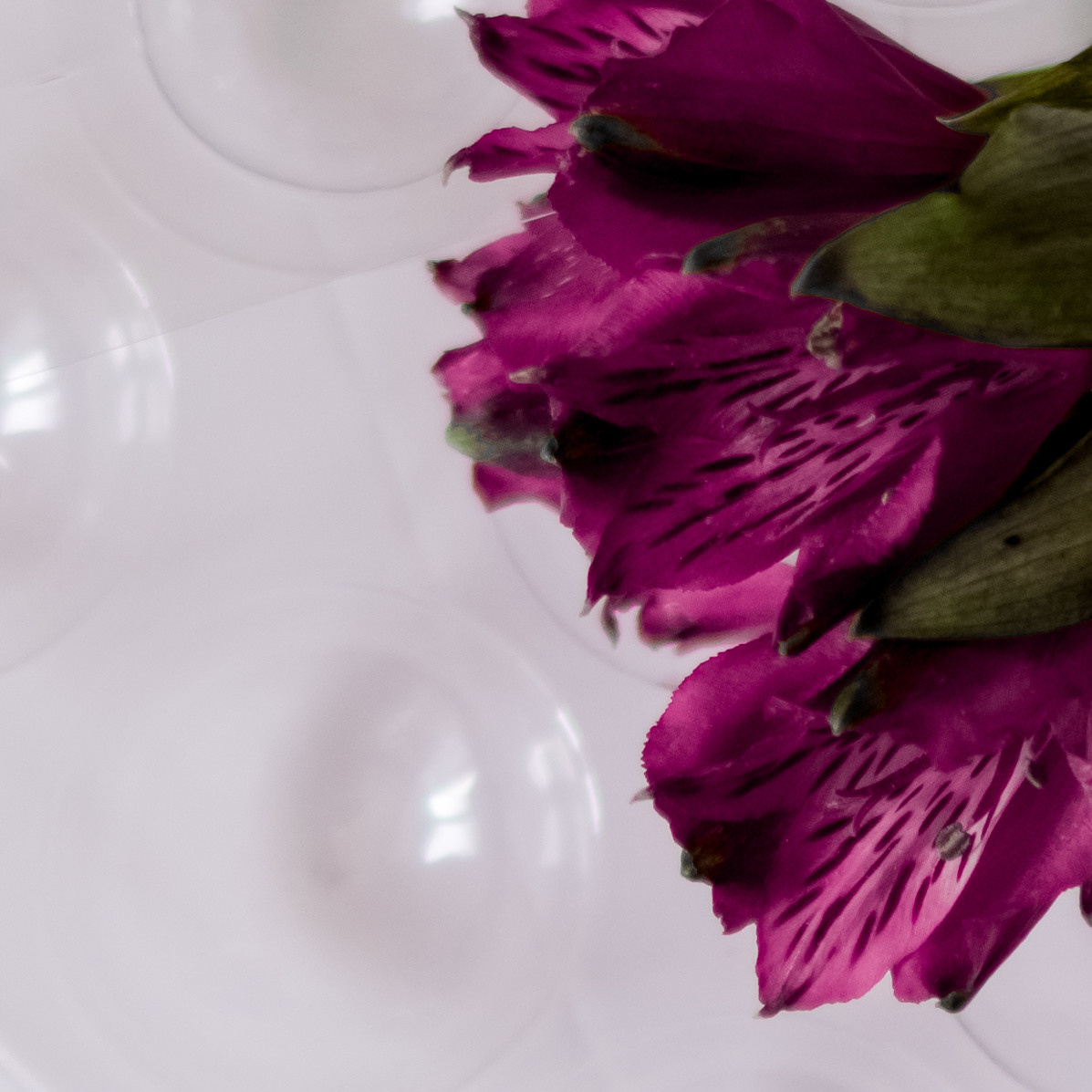 Контент. Фотограф Светлана Воронцова