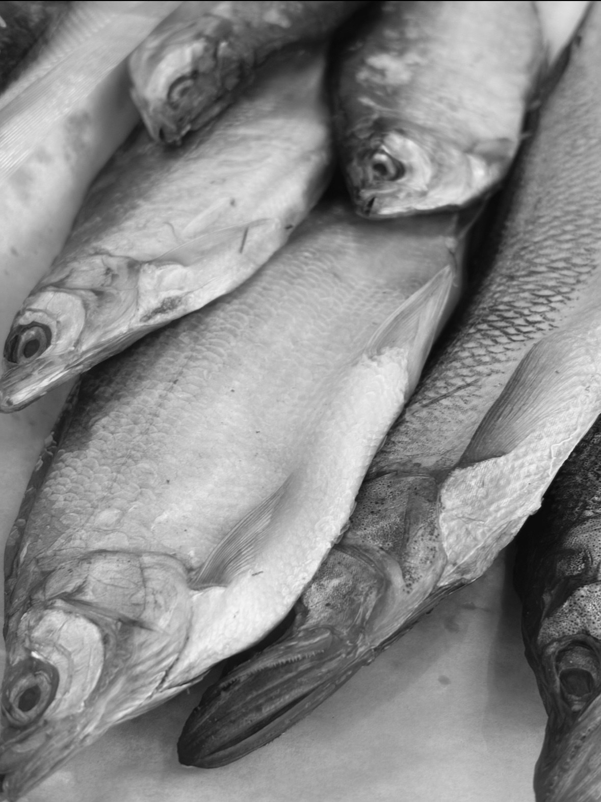 Съемка контента для SMM. Фотограф в Москве Черниговцева Анастасия