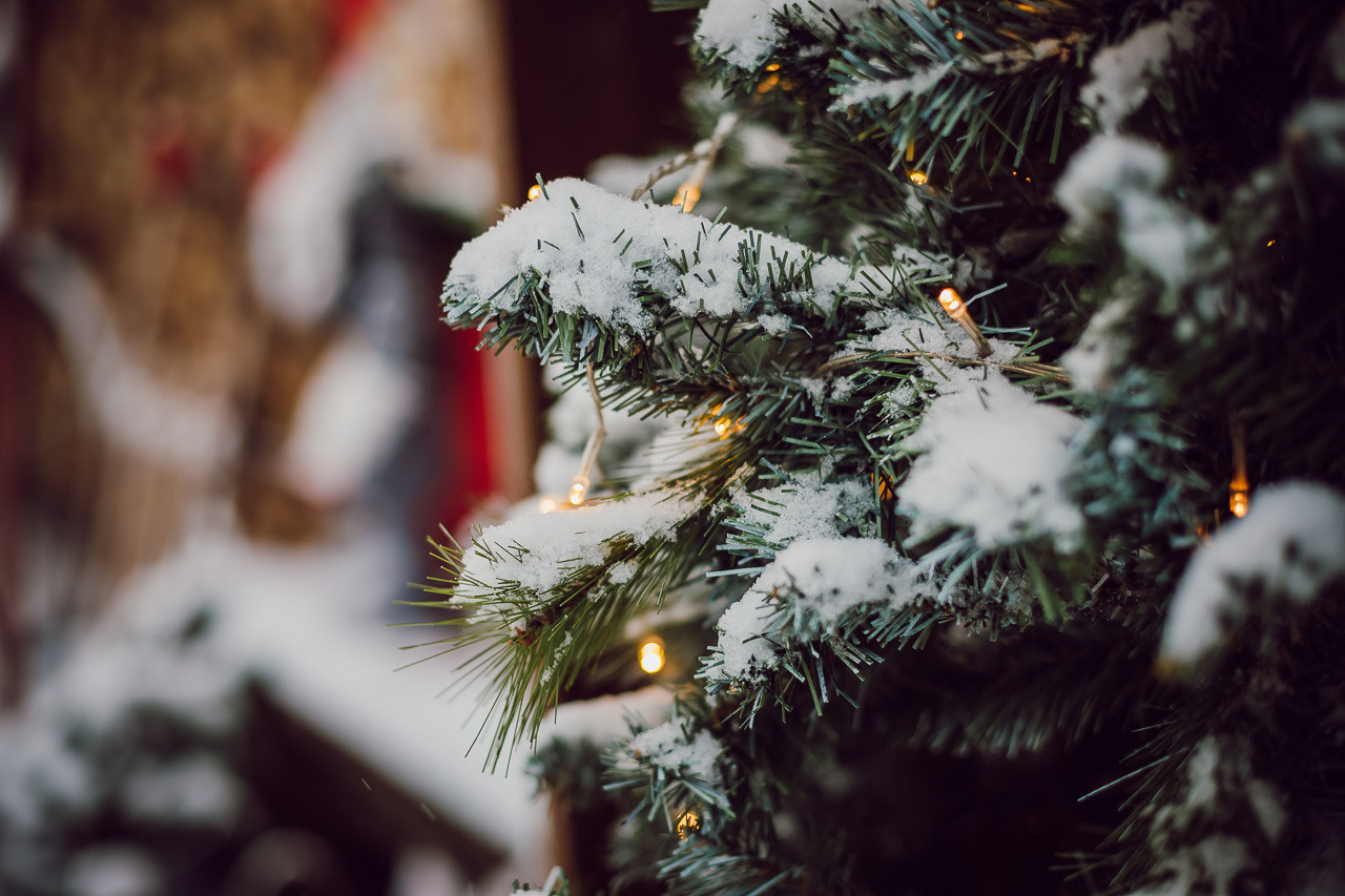 Дмитрий, Ксения и Стеша. Семейный фотограф Николаева Ольга