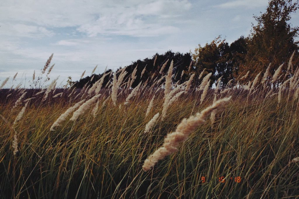 Пейзажи. Свадебный и портретный фотограф в Новом Уренгое Андрей Нелескин