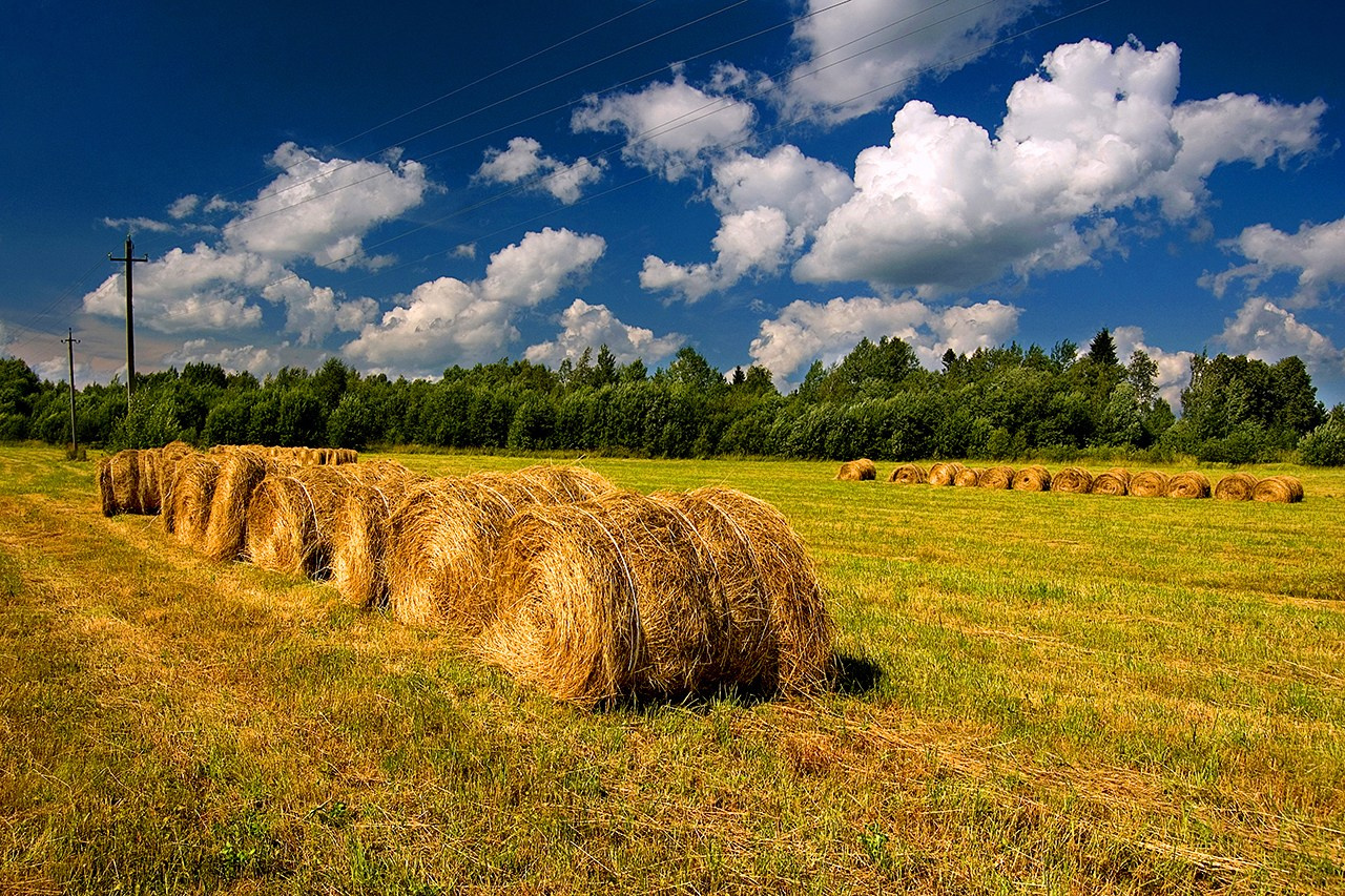 РАЗНОЕ. Андрей Пономарёв