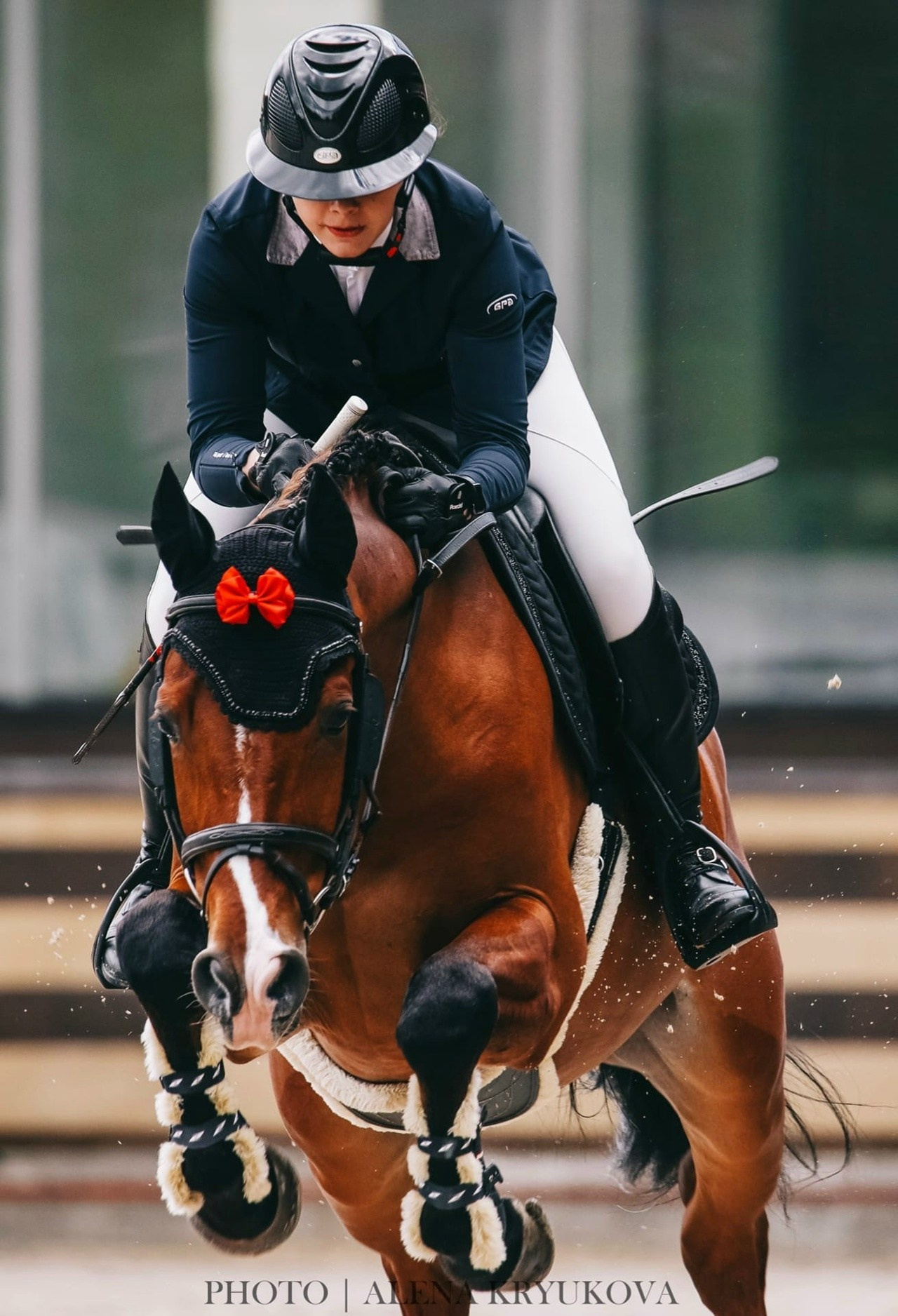 Летние соревнования. Фотосессии с лошадьми