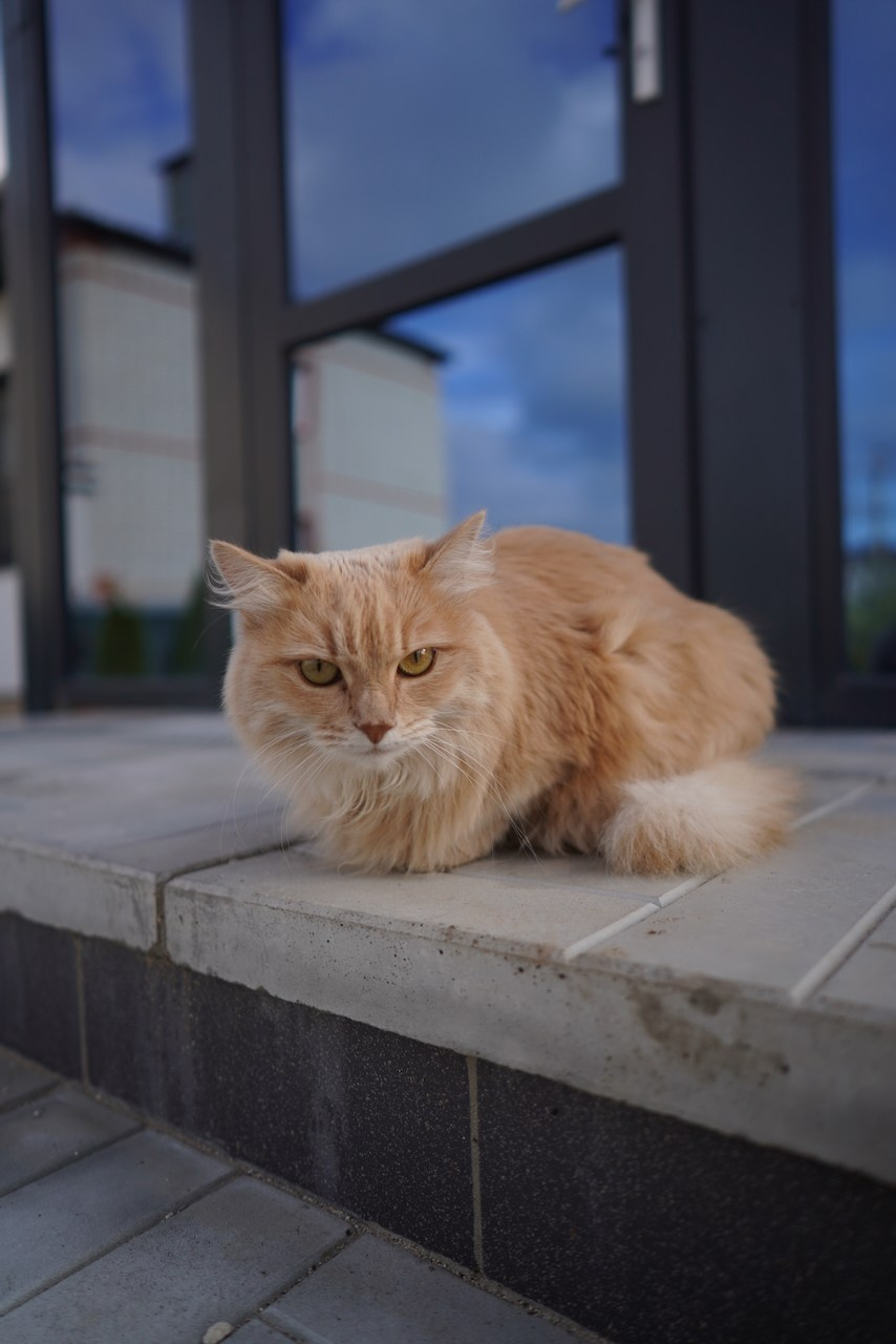 Одноэтажный дом 120 м². Das House