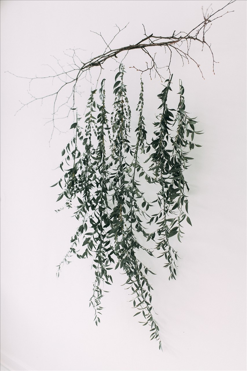 Дыхание весны