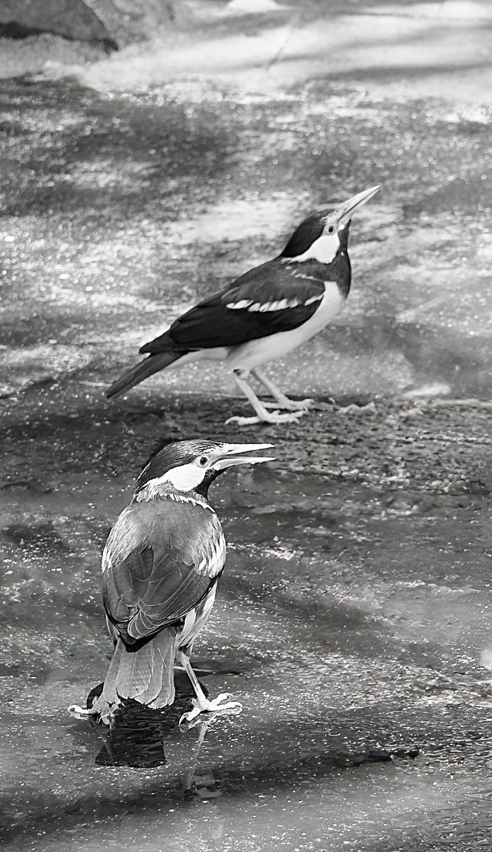 Фотограф Москва. Фотограф и художник в Москве Евгения Нюнина